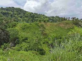  Grundstück zu verkaufen in Cebu City, Central Visayas, Cebu City, Cebu, Central Visayas, Philippinen