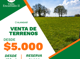  Land for sale in Alangasi, Quito, Alangasi