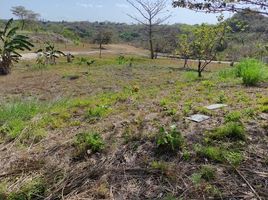  Land for sale in El Espino, San Carlos, El Espino