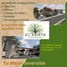  Land for sale in Zapopan, Jalisco, Zapopan, Jalisco