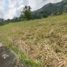  Terreno (Parcela) en venta en Antipolo City, Calabarzon, Antipolo City, Rizal