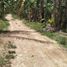  Land for sale in Cebu Central Visayas, Tabogon