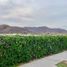  Grundstück zu verkaufen in Tlajomulco De Zuniga, Jalisco, Tlajomulco De Zuniga