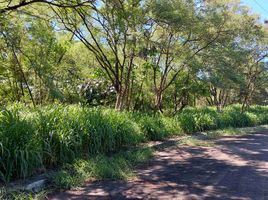 Terreno (Parcela) en venta en Muntinlupa City, Metro Manila, Muntinlupa City, Southern District, Metro Manila