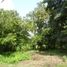  Land for sale in Palmira, Valle Del Cauca, Palmira