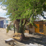 4 Habitación Casa en venta en Torreon, Coahuila, Torreon
