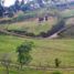  Land for sale in Guarne, Antioquia, Guarne