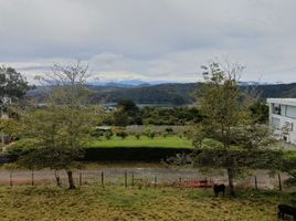  Terrain for sale in Valle Del Cauca, Calima, Valle Del Cauca