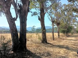 在Tepeji Del Rio De Ocampo, Hidalgo出售的 土地, Tepeji Del Rio De Ocampo