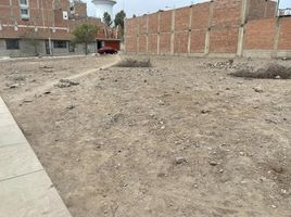  Grundstück zu verkaufen in Carabayllo, Lima, Carabayllo, Lima, Lima, Peru