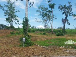  Terreno (Parcela) en venta en Calamba City, Calabarzon, Calamba City, Laguna