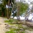  Grundstück zu verkaufen in San Vicente, Mimaropa, San Vicente