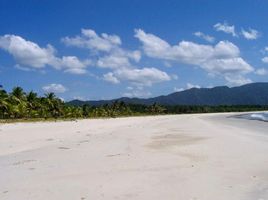  Grundstück zu verkaufen in San Vicente, Mimaropa, San Vicente