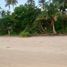  Grundstück zu verkaufen in San Vicente, Mimaropa, San Vicente