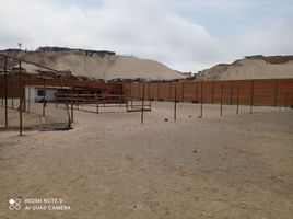  Terreno (Parcela) en venta en Ventanilla, Callao, Ventanilla, Callao, Callao
