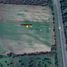  Land for sale in General Bravo, Nuevo Leon, General Bravo