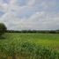  Land for sale in General Bravo, Nuevo Leon, General Bravo