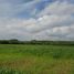  Land for sale in General Bravo, Nuevo Leon, General Bravo