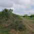  Land for sale in General Bravo, Nuevo Leon, General Bravo