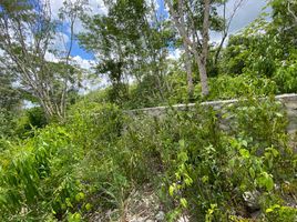 Terrain à vendre à Cozumel, Quintana Roo, Cozumel