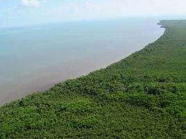 在Campeche出售的 土地, Carmen, Campeche