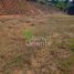  Land for sale in Marinilla, Antioquia, Marinilla