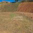  Land for sale in Marinilla, Antioquia, Marinilla