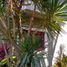 4 Habitación Casa en venta en Cozumel, Quintana Roo, Cozumel