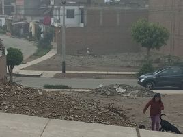  Terreno (Parcela) en venta en Lurigancho, Lima, Lurigancho