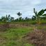  Land for sale in Moalboal, Cebu, Moalboal