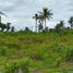  Land for sale in Moalboal, Cebu, Moalboal