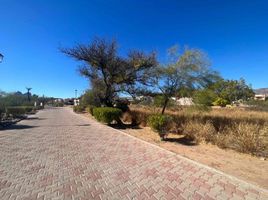  Grundstück zu verkaufen in Guaymas, Sonora, Guaymas