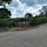  Land for sale in Tixkokob, Yucatan, Tixkokob