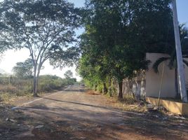  Terreno (Parcela) en venta en Merida, Yucatán, Merida, Yucatán