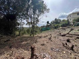  Terreno (Parcela) en venta en Guarne, Antioquia, Guarne