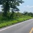  Land for sale in Compostela, Nayarit, Compostela