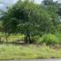  Land for sale in Compostela, Nayarit, Compostela