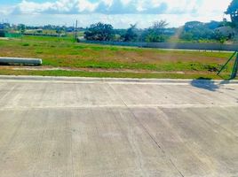  Land for sale in Las Pinas City, Metro Manila, Las Pinas City
