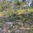  Land for sale in Berriozabal, Chiapas, Berriozabal