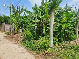  Land for sale in Jalpa De Mendez, Tabasco, Jalpa De Mendez