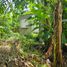  Land for sale in Jalpa De Mendez, Tabasco, Jalpa De Mendez