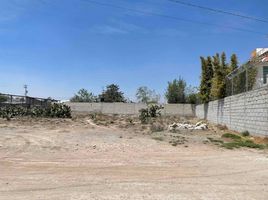  Terreno (Parcela) en venta en San Agustin Tlaxiaca, Hidalgo, San Agustin Tlaxiaca