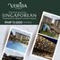 1 Bedroom Apartment for sale in Balanga City, Central Luzon, Balanga City, Bataan