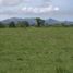  Land for sale in San Carlos, Panama Oeste, San Jose, San Carlos