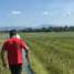  Land for sale in Pangasinan, Ilocos, Pozorrubio, Pangasinan