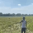  Land for sale in Pozorrubio, Ilocos, Pozorrubio
