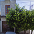 2 Habitación Villa en venta en Acambaro, Guanajuato, Acambaro