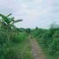  Terrain for sale in Ginyar, Gianyar, Ginyar