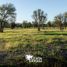  Land for sale in Allende, Nuevo Leon, Allende
