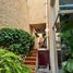  House for sale in San Luis Potosi, San Luis Potosi, San Luis Potosi, San Luis Potosi